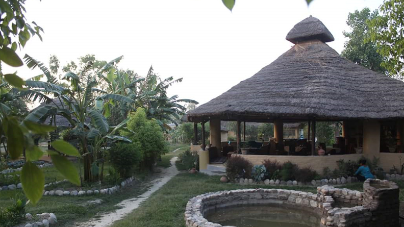 Mango Tree Lodge €“ Bardia National Park Mango tree lodge bardia - Mango Tree Lodge €“ Bardia National Park